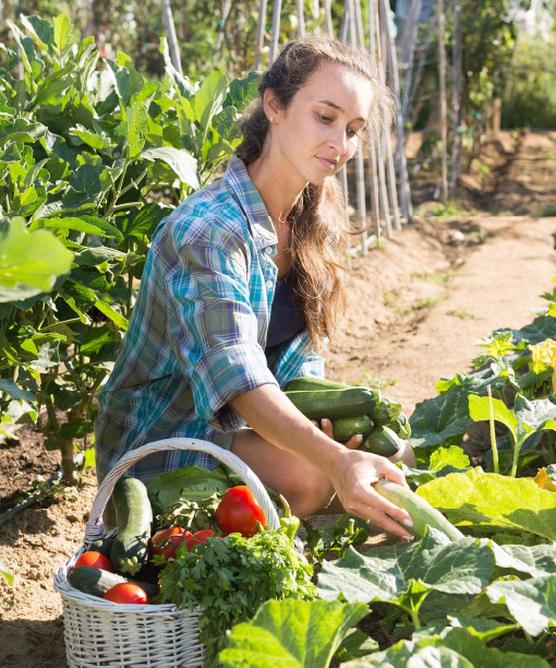 Health and Food